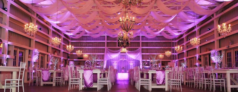 #‎PurpleUpLighting‬ ‪#‎MichaelAnthonyProductions‬ ‪#‎SpectacularDreamLighting‬ ‪#‎AccentLighting‬ ‪#‎TextureLighting‬ ‪#‎JRaynePhotography‬ ‪#‎SaxonManor‬ ‪#‎ShabbyChicBarn‬ ‪#‎weddinguplighting‬ ‪#‎WeddingDJ‬ ‪#‎Tampauplighting‬ ‪#‎TampaDJ‬ ‪#‎Barnwedding‬ #highenedweddinglighting #uplighting